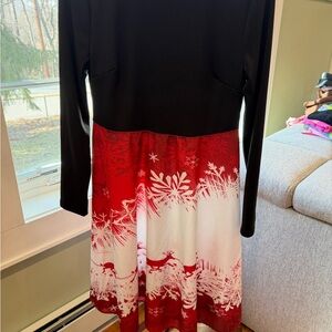 Red and White Holiday Flair Christmas Santa Dress